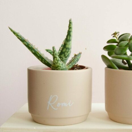 bloempotje-keramiek-blush01 bloempotje-keramiek-blush01