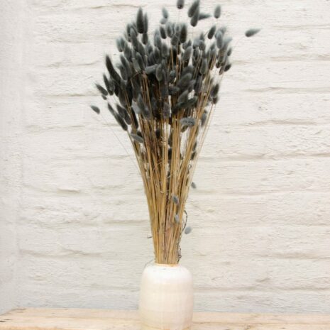 droogbloemen-lagurus-mosgroen-01 droogbloemen lagurus grijsgroen