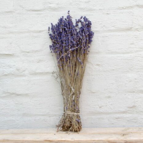droogbloemen-lavendel-02 droogbloemen lavendel