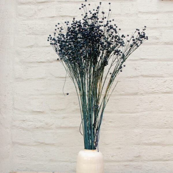 droogbloemen vlas donkerblauw