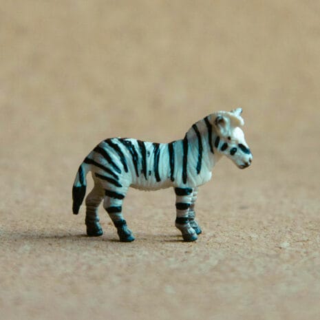 miniatuur-zebra-02