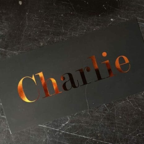 g-12002-charlie-05 g-12002-charlie-05