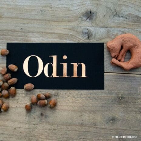 g-12002-charlie-06 g-12002-charlie-06