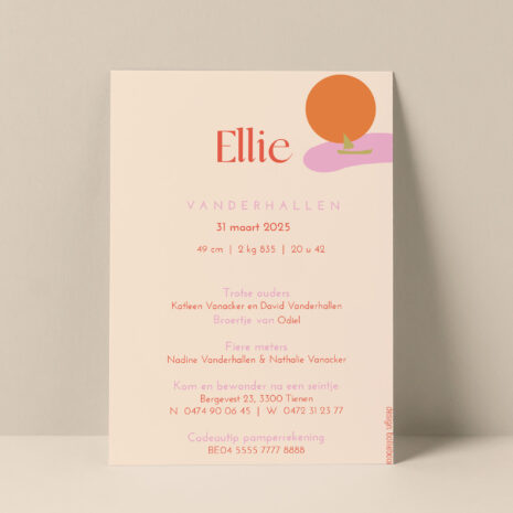 g-18501-landschap-ill-roos-a6-achterrzijde Geboortekaartje berglandschap roos