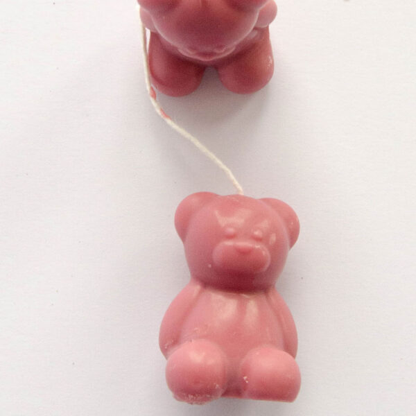 berenkaarsje magnolia