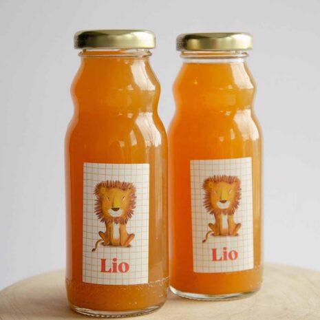 g-lio-vierkant04 sticker fruitsap