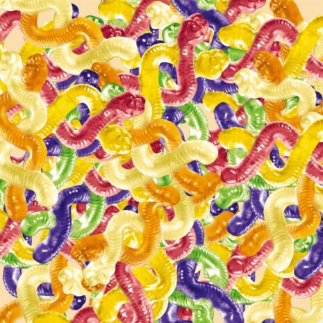 wormen-trolli wormen snoep